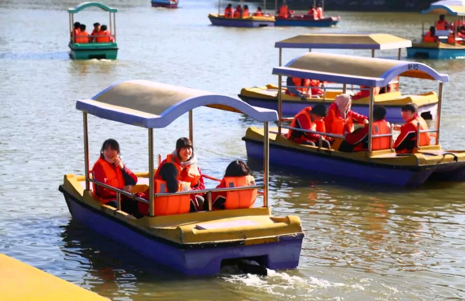 1577260385779582.jpg 05.jpg