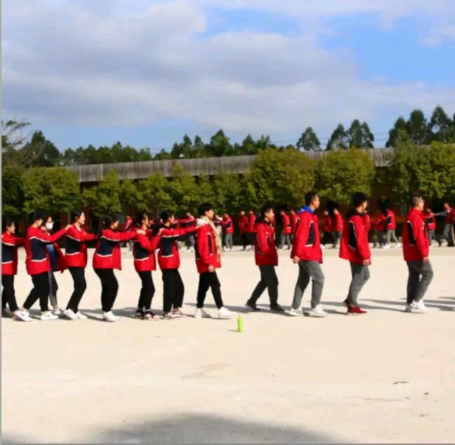 1577261188655915.jpg 29.jpg