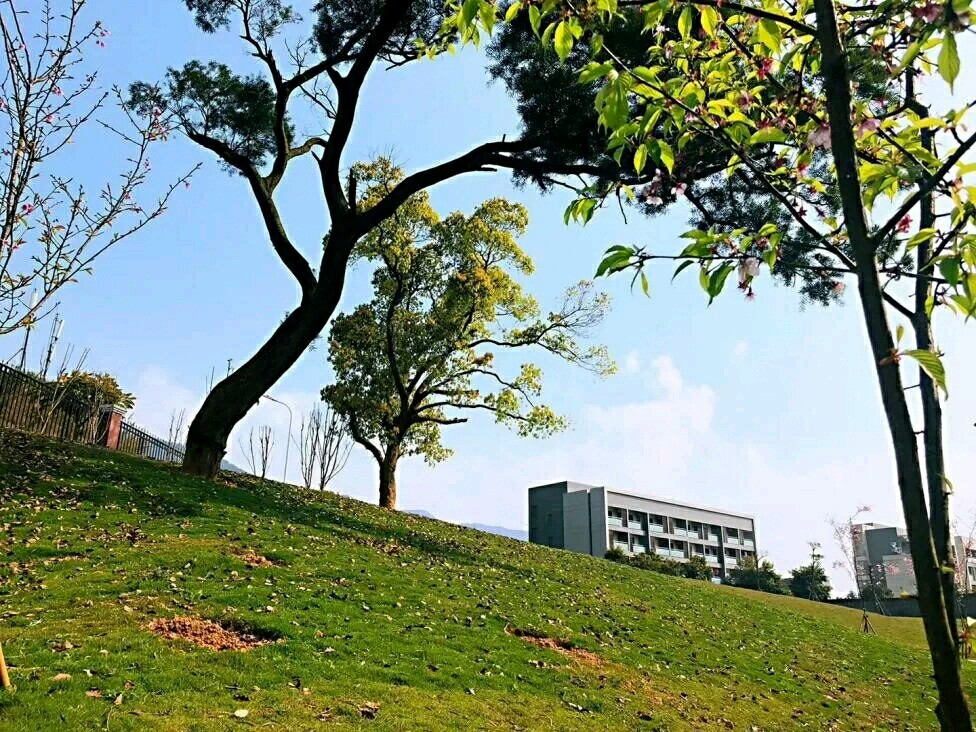 1587863768621248.jpg 42.jpg